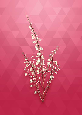 Vintage Gold White Broom