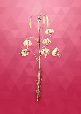 Vintage Lilium Pyrenaicum