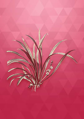 Sansevieria Carnea on Red