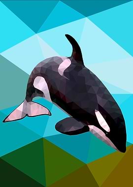 Killer Whale