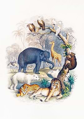 History of the Earth