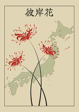 Japanese Spider Lily