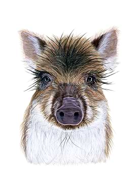 Baby wild boar portrait