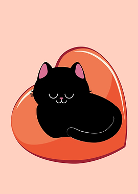Black cat sleep on heart