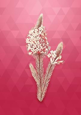 Heather Briar Root Bruyere