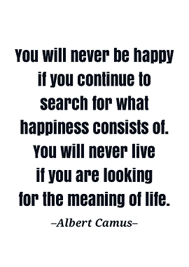 Albert camus quote