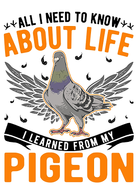 Pigeon Fancier City Pigeon