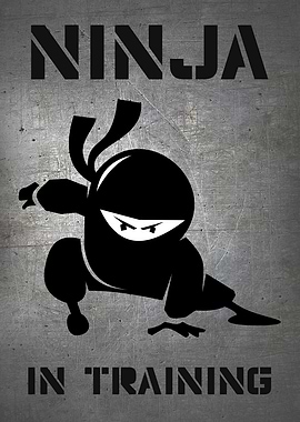 NINJA IN TRAINING METALLIC