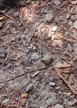 Muddy Tile Patterns 1