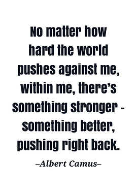 Albert camus quote