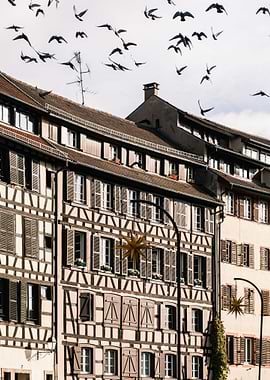 Strasbourg France