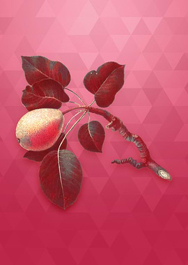 Gold Pear on Viva Magenta