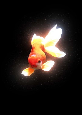 Goldfish