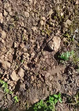 Muddy Tile Patterns 2