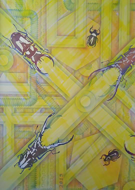 The migration of beetles