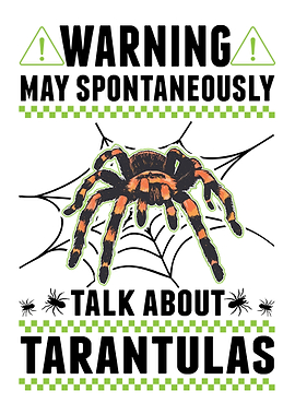 Tarantula Spider