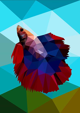 Betta Fish