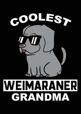 Weimaraner Grandma