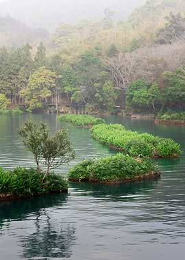 Sun Moon Lake Scenery