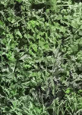 Green Foliage Dreams