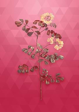 Gold Scorpion Vetch Plant