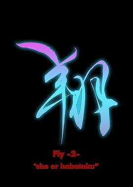 Fly
