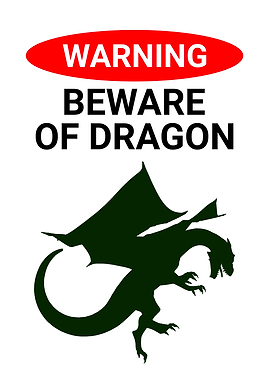 BEWARE OF DRAGON FLYING