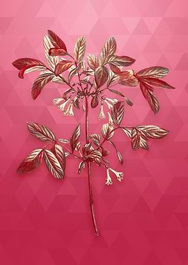 Vintage Honeyberry Flower