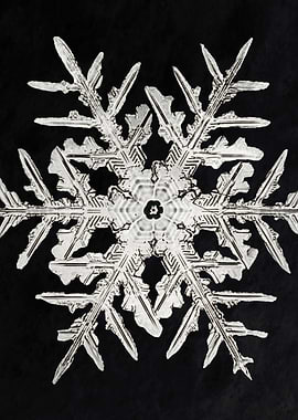 Snowflake 1201