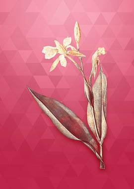 Bandana of the Everglades