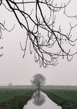 Kinderdijk Netherlands