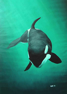 She Wolf Killer Whale