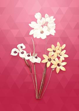 Corn Lily on Viva Magenta