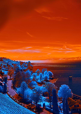 Hidden Village Skyline