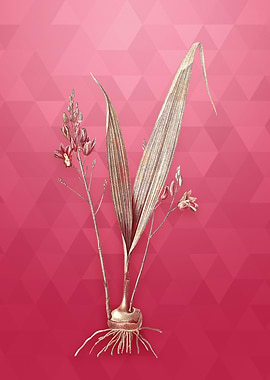 Pine Pink on Viva Magenta