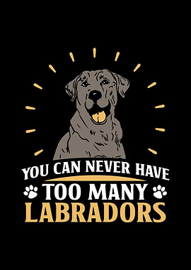 Labrador