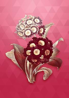 Vintage Mountain Cowslip