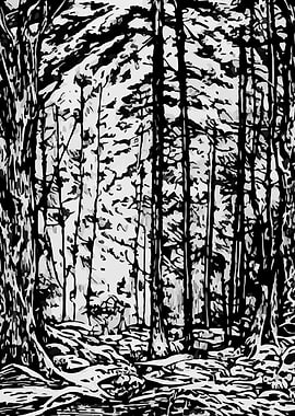 LANDSCAPE BLACK AND WHITE