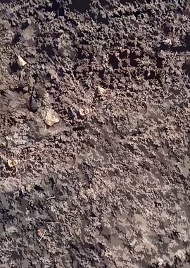 Muddy Tile Patterns 7