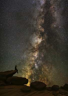 Page in United States