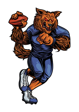 Fox American Football