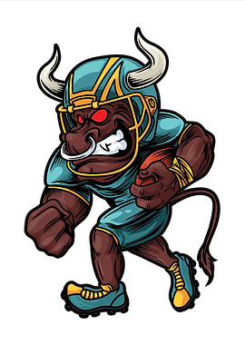 Bull American Football
