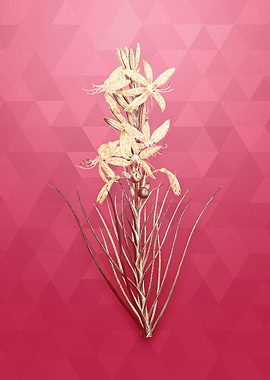 Vintage Yellow Asphodel