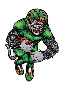 Bulldog American Football