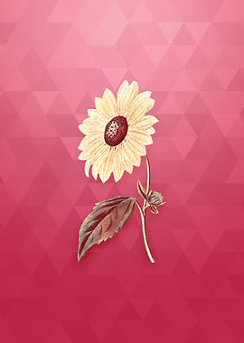 Gold California Sunflower