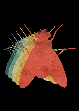 Fly Retro Vintage Color