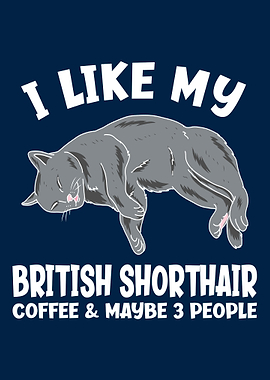 Like My British Shorthair