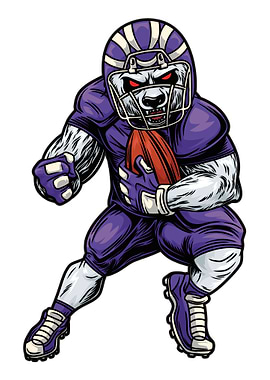 Panda American Football