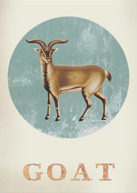 Vintage old goat card