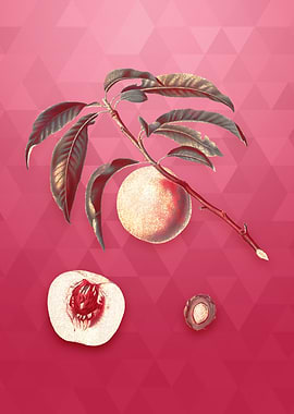 Gold White Speckled Peach